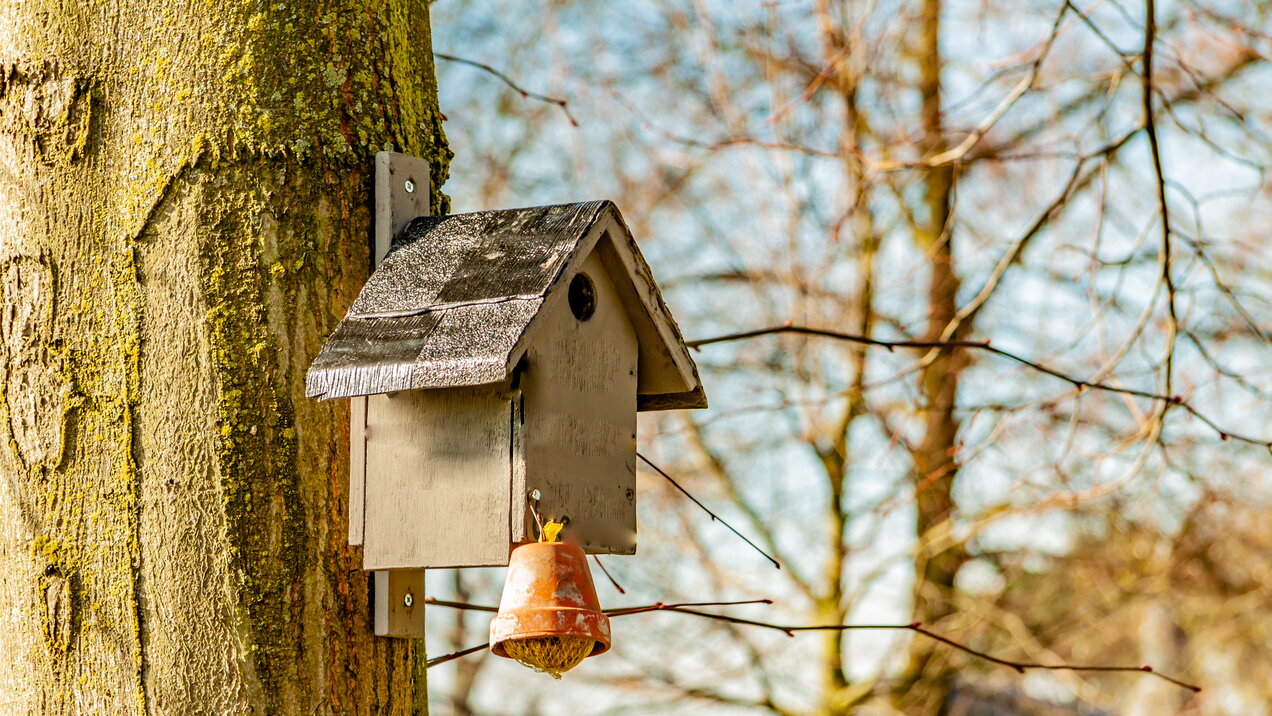 Vogelhuisje met vetbol