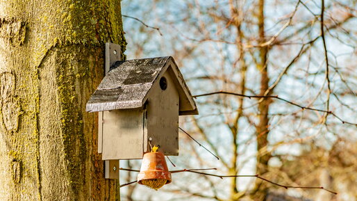 Vogelhuisje met vetbol